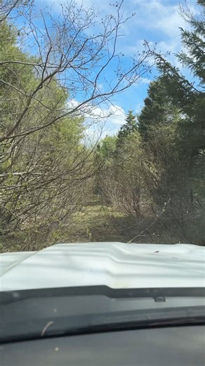 16K views · 385 reactions | Yesterday afternoon will go down in the Allagash Antlers history books! In the span of about 4 hours the boys found 26 different moose antlers and 2 matching deer antler sets 勞 | Allagash Antlers | Facebook