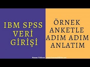 Data Entry into IBM SPSS - Step by Step Explanation