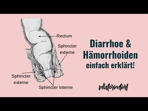 Hämorrhoiden, Diarrhoe und Obstipationen einfach erklärt! - Bedeutung des Rektums und Analkanals