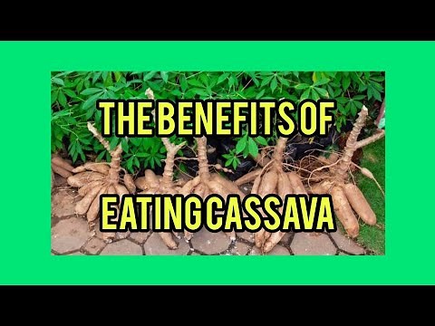 Health Benefits of Eating Cassava
