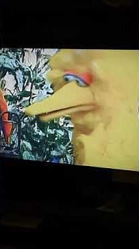 Sesame Street Big Bird and Elmo singing She'll Be Comin Round The Mountain For ArthurReadIsBack