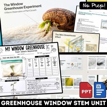 Greenhouse Effect Experiment Plant Life Cycle STEM Science Worksheets Grades 1-4