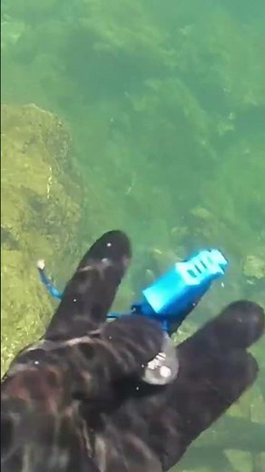 fish clicker sound off #spearfishing