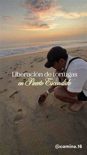 Experiencia mágica en Puerto Escondido: Libera tortugas