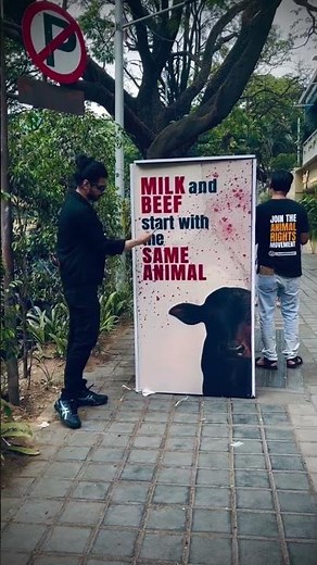 Milk = Beef