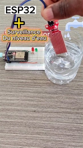 Surveillance du NIVEAU D'eau avec l'ESP32 et le Capteur de Niveau D'eau #esp32 #Genie #electronique | Méchant Circuit