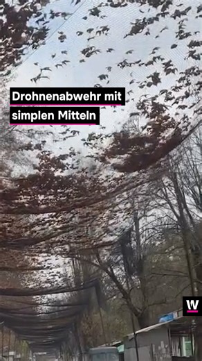 watson News on Instagram: "Immer wieder machen russische Drohnenpiloten Jagd auf Menschen in der südukrainischen Stadt Cherson. Eine simple Taktik hilft nun, die Angriffe abzuwehren. 👉 Die Strassen sind eigentümlich laubfrei für mitten im Herbst. In Teilen von Cherson landet ein Grossteil des Laubes in Netzen statt auf dem Asphalt. Sie sind mehrere Meter über den Strassen aufgespannt, um Drohnen abzuwehren. 👉 Denn in Cherson, der Stadt, die im ersten Jahr des Angriffskriegs auf die Ukraine meh