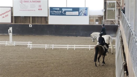Vidéo de Cheyenne 1074 - Tournoi Équestre Weil der Stadt 2026, Reprise de dressage pour débutant (21/03/2026)
