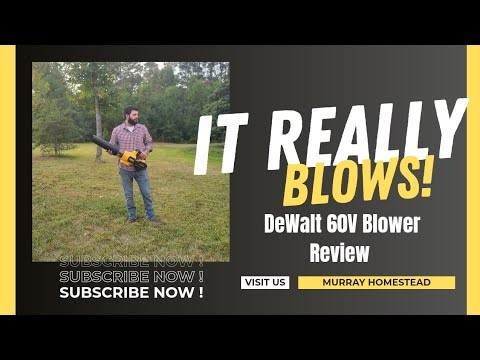 The Best Cordless Blower? | DeWalt 60V Blower Review