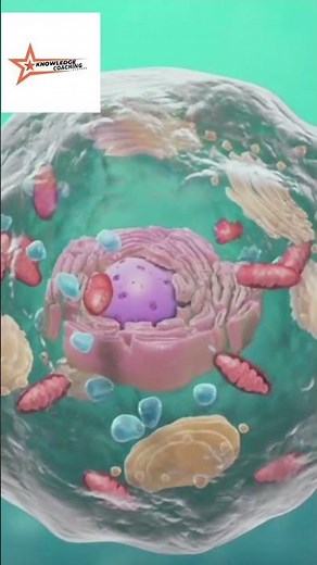 Cell structure|Components of cell|Types of cell#biology#anatomy #shortsfeed #shorts #youtubeshorts