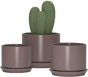 Succulent Plant Pots,6.8+5.3+4.1 in Glazed Ceramic Planters with Connected Saucers, Round Modern Ceramic Flower pots - Small to Large Sized Plant pots for All House Plants(Matte Brown)