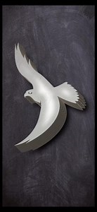 Bird logo design tutorial using Adobe illustrator #shorts #ytshorts #birds