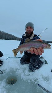 Une truite en 30 secondes? C'est possible au bon spot et avec le bon montage. Je vous montre comment j'ai pêcher cette arc-en-ciel un peu trop rapidement! L'aventure complète est sur ma chaîne YouTube #PriseDuJour #truite #quebec #pleinair | Prise du jour