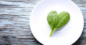 Spinach leaves provide vascular structures for lab-grown human cardiac tissue