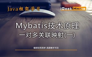 3.5 Mybatis技术原理之一对多关联映射(一)