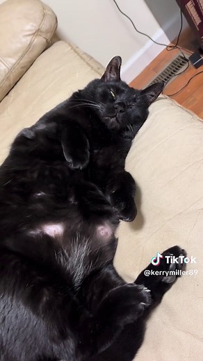 Kerry Miller (@kerrymiller89)’s videos with original sound - Kerry Miller