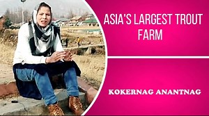 249K views · 1.7K shares | Asia's largest Trout Farm in Kokernag Anantnag. A story by Gazaala Nisar The Kashmir Radar Exclusive | The Kashmir Radar | Facebook
