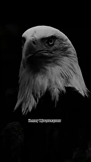 15K views · 575 reactions | motivational speech motivational quotes #motivationalspeech #motivationalvideo #motivation | CU LAND | Facebook