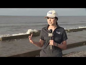 Live Radar | Wednesday Evening | Eye on Bertha