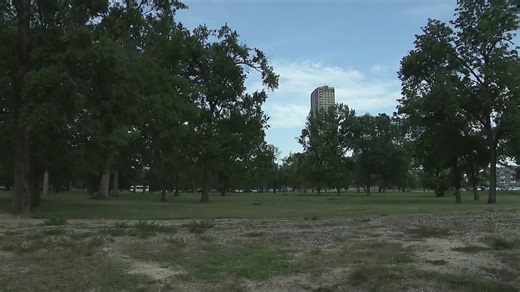 Ben Taub Hospital expansion plan sparks debate over use of Hermann Park land