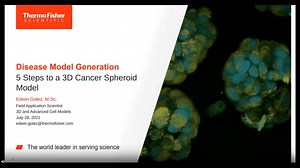 Disease model generation: 5 steps to a 3D cancer spheroid model - Scientific Videos | Thermo Fisher Scientific US