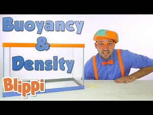 Blippi's Sink or Float Challenge | Learn about Buoyancy | Learn With Blippi | Moonbug Kids