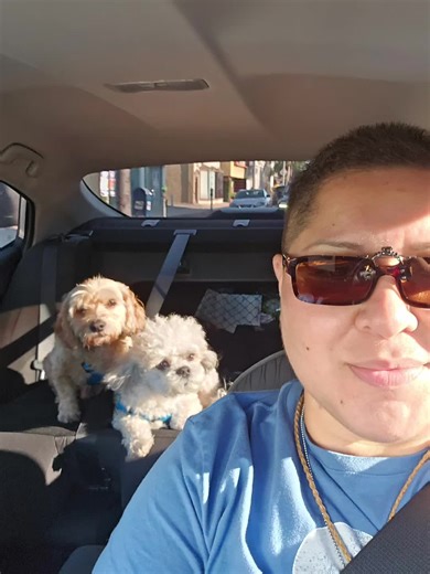 The Urban Shaman on TikTok