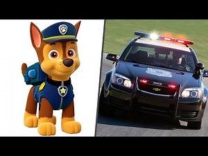 Paw Patrol Cars in Real Life! All Characters