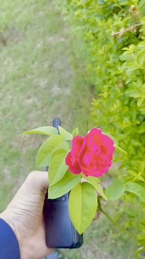 8.6K views · 269 reactions | Serene air A330 landing Peshawar Airport #aviation #Pakistan #foryouシ #Peshawar #fbreelsfypシ゚ | Kpk Aviation | Facebook