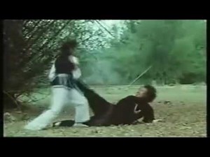 Kungfu movie fight depicting avenging woman - HaKwongLi.mkv