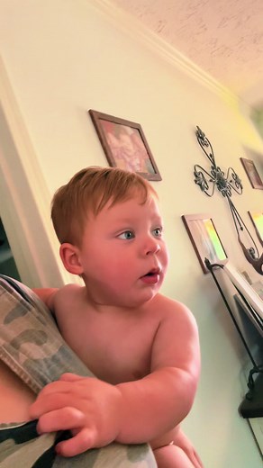 Bluetick Coon Dog Hunting Adventures