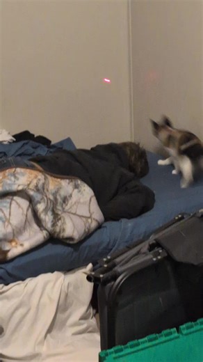 Jbird (@jbird.pma.official)’s videos with original sound - Jbird