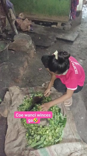 @pengikut @sorotan | Rish Jhazz