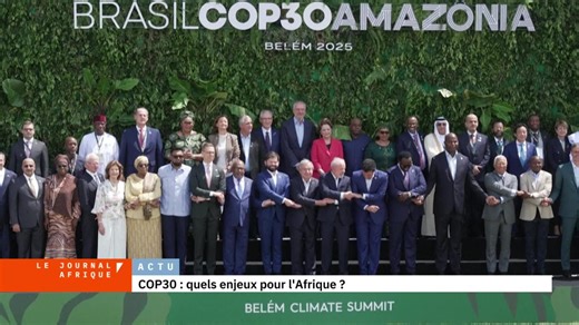 La COP 30 s'ouvre à Belém: pour l'Afrique, quels sont les grands enjeux de la Conférence sur le climat?