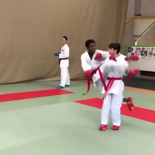 Karate Kumite Techniques Explained
