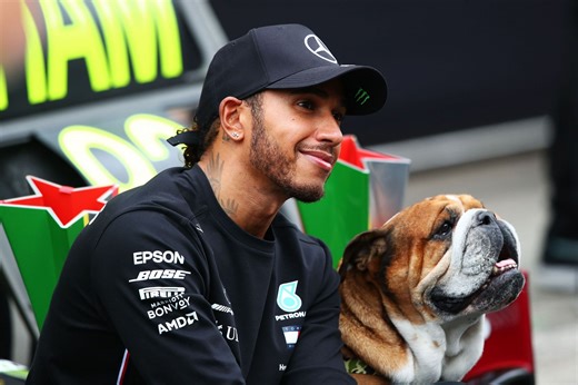 What happened to Lewis Hamilton’s other dog, Coco? All you need to know about Roscoe’s partner