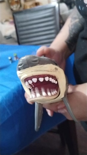 #disney#nemo#bruce#father#findingnemo #texas #dory#shark