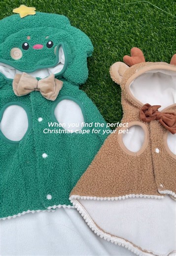 Dress Your Pet for Christmas: Festive Dog and Cat Ideas