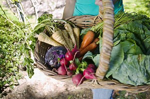 L'agriculture bio ? - Psychologies.com