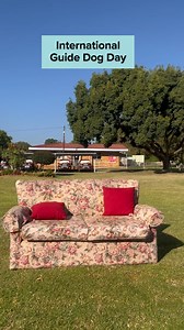 73 reactions | From Adrian and our guide dogs in training; Cole, Arlo Duke, Carter and Gordon…Have a LOVELY LOVELY LOVELY INTERNATIONAL GUIDE DOG DAY! #internationalguidedogday#saguidedogs#dogsintraining# | South African Guide-Dogs Association for the Blind | Facebook