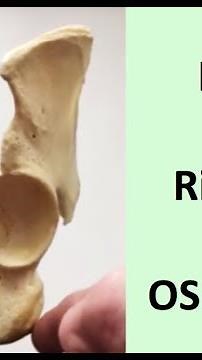 Left or Right? siding an OS COXA