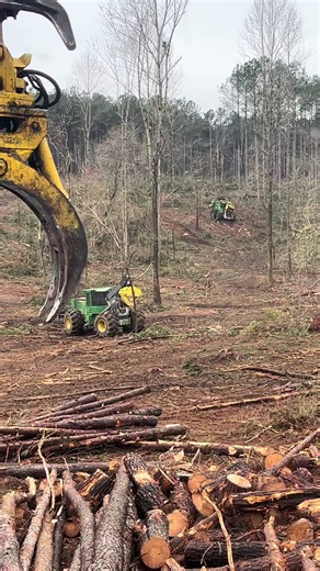 Live Logging and Trucking: Join Us for Real-Time Action