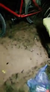 #IntendenteRominaRosas DESAPARECIDOS EN FUNCION, SIN ASISTENCIALISMO A LOS AFECTADOS POR LA LLUVIA. Denuncia Comunal. Caucete a Romina Rosas le tocan timbre y parce estar desconectado. Vecinos del asentamiento Belgrano se inundaron y sufren peligro de derrumbes entre otros. La falta de un plan de acción para estas problemáticas dejan en claro la ausencia de la #Intendente_RominaRosas. Encima este problema se extenderá ya que son familias que no tienen viviendas y no son beneficiados con la entre