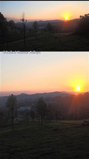 Tea Garden, Coonoor, Ooty