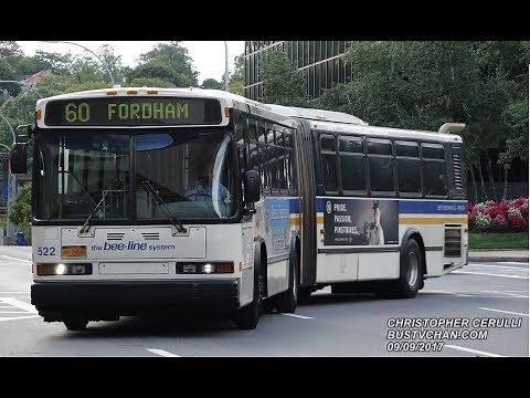 BEE LINE BUSES NEAR WHITE PLAINS BUS TERMINAL NEOPLAN NABI AND ORION
