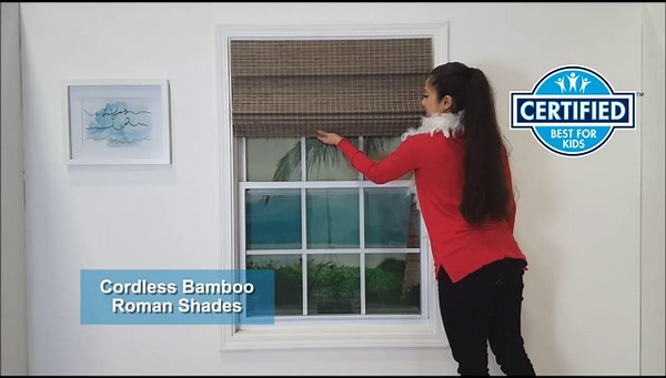 Radiance 2208862E Cordless Roman Shade, 36" W x 64" L, Driftwood