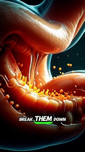 Most people eat like this every day…But this is what happens inside your stomach ⚠️