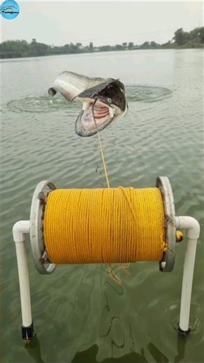 Amazing unique whole chicken trap fishing system #fishing #video #trap #viral #reels #shorts