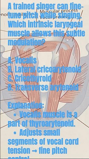 MCQ LARYNX