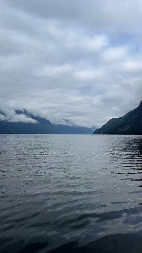 Speechless again… | Tim Moyer